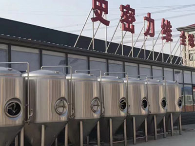 黄浦精酿啤酒设备厂—市场规模与跨界新需求
